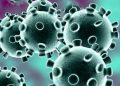 Plasma jets may kill novel coronavirus within seconds: Study